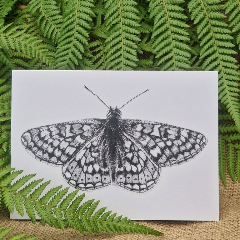 Marsh fritillary butterfly card