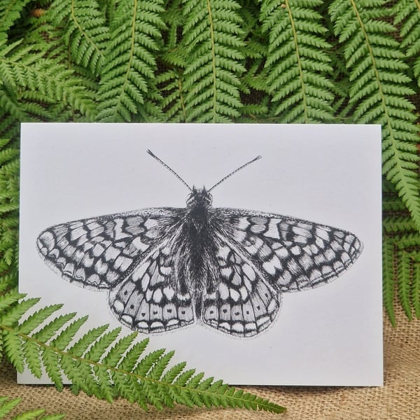 Marsh fritillary butterfly card