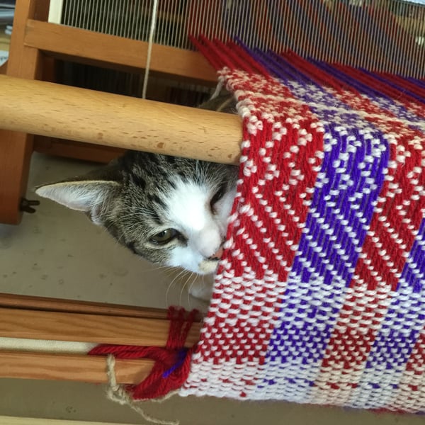 Order 2 for Jackie McK