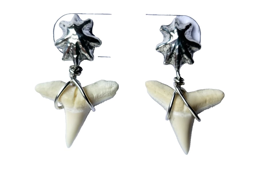 Sharks Tooth & Seashell Drop Earrings Fine & Recycled Sterling Silver Jewellery