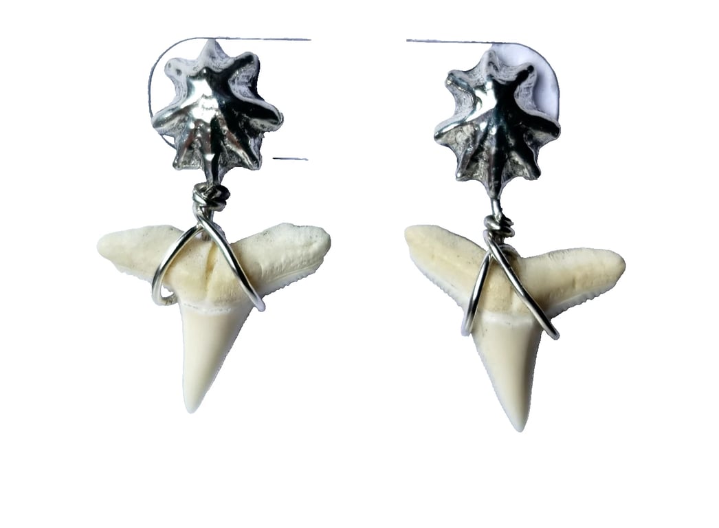 Sharks Tooth & Seashell Drop Earrings Fine & Recycled Sterling Silver Jewellery