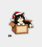 Funny Christmas Sticker Vinyl Xmas Decal For Adults - Cute Grumpy Cat In Box
