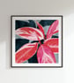 Stromanthe triostar Stromanthe sanguinea Botanical Square Art Print - Image 1