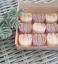Pumpkin Wax Melt Gift Set - Image 3