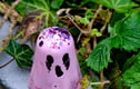 Ghosties