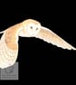 Flying Owl - Blank Card - Image 1