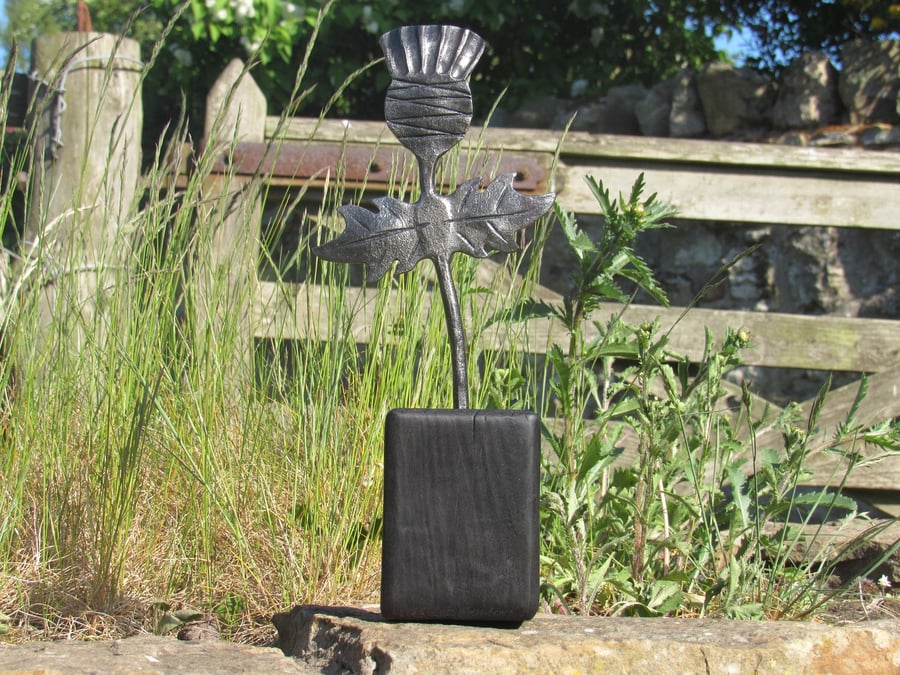 Hand forged thistle sculpture, handmade by Scottish blacksmith