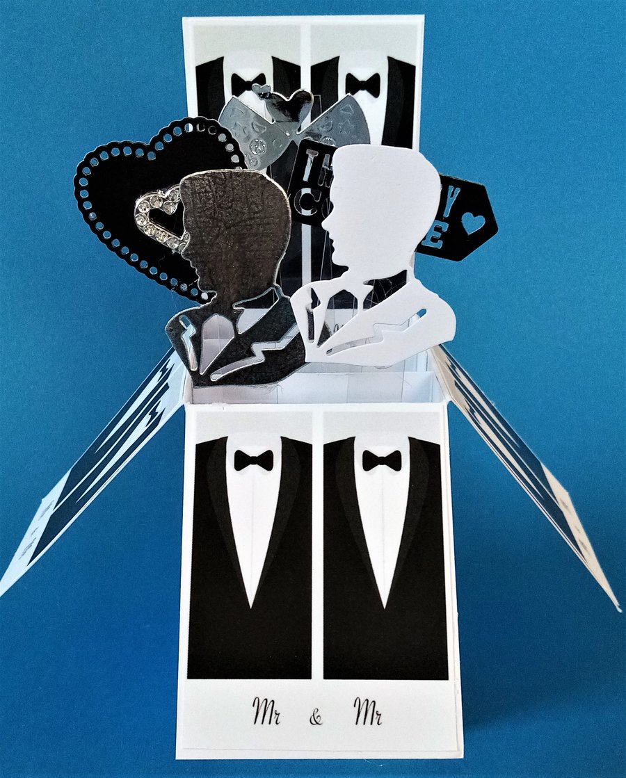 Mr and Mr Wedding Day Card