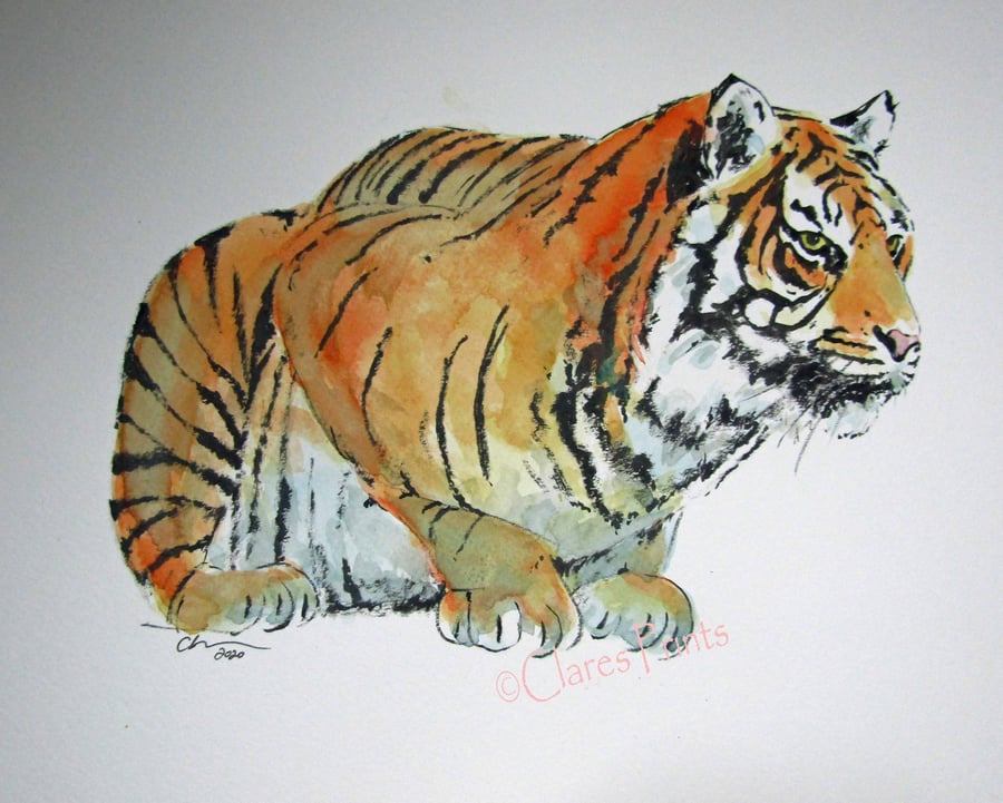 Tiger Look Original Cat Watercolour Art Painting OOAK