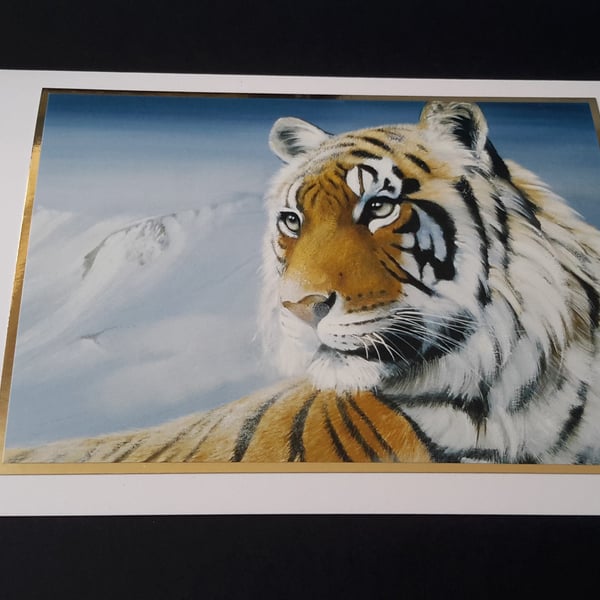 Tiger Blank Greeting Card - Wildlife Artwork By Pollyanna Pickering