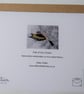 Goldfinch Embroidered Portrait Greetings Card - Image 4