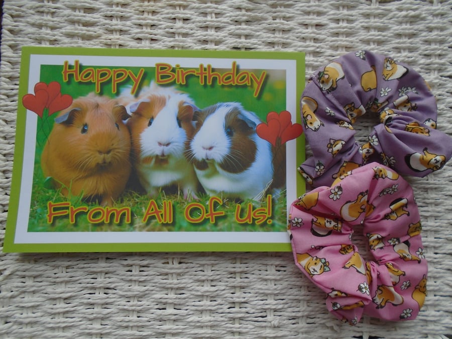 Happy Birthday Guinea Pig Card A5 & 2 Hair Scrunchies 