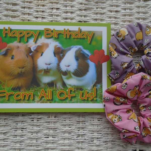 Happy Birthday Guinea Pig Card A5 & 2 Hair Scrunchies 
