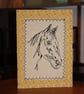 Horse head with a textured border