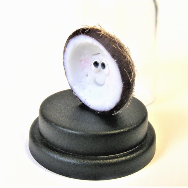 Pet Coconut, Coconut gift, Vegan gift, Vegetarian gift, Fruit gift, Comedy gift