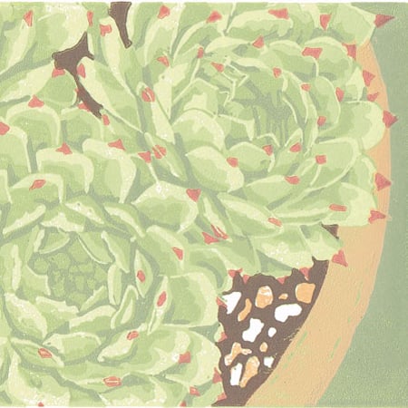 Succulent plant, Sempervivum - Original Linocut Reduction Print