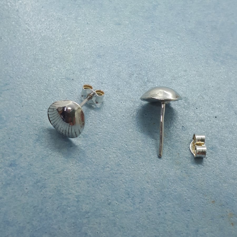 Fine silver cockle shell studs