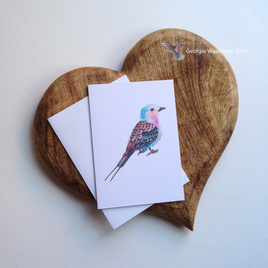 'Lilac Breasted Roller' card