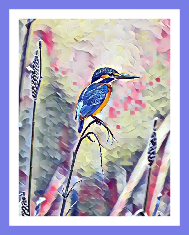 Kingfisher Norfolk Greeting Card A5