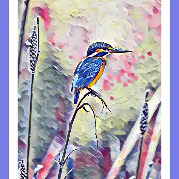 Kingfisher Norfolk Greeting Card A5