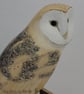 Barn owl - Image 3