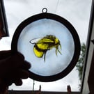 Stained Glass Honey Bee