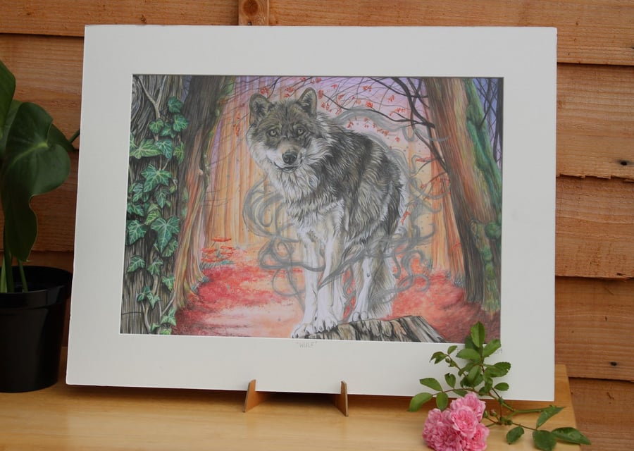 'Wulf' Art Print - Mounted A3 - Wolf Wildlife Artwork