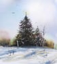 The Tree, Original Watercolour Painting.