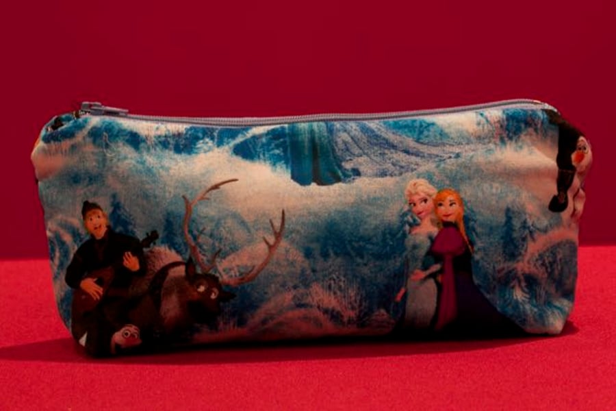Frozen Pencil Case
