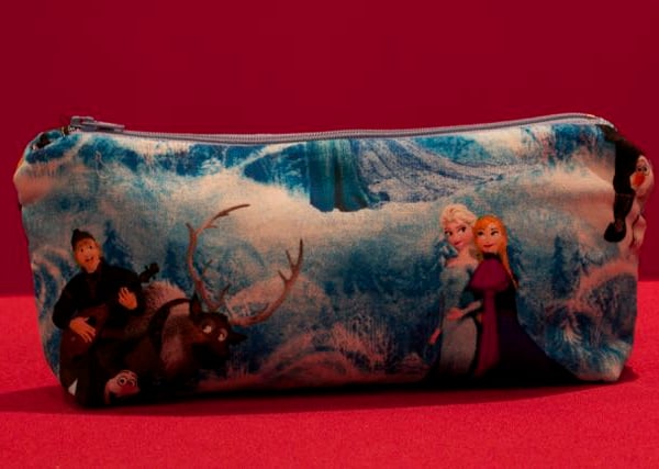 Frozen Pencil Case