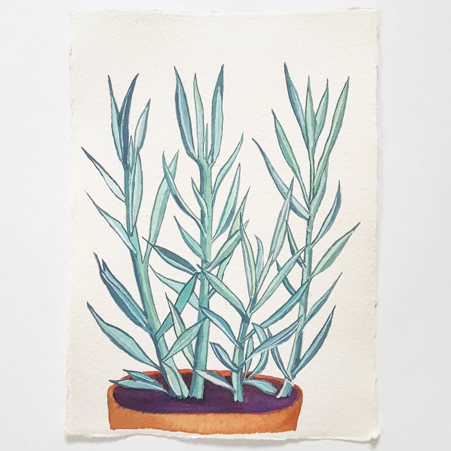 SALE Watercolour Succulent House Plant  Painting A5 Khadi Paper 