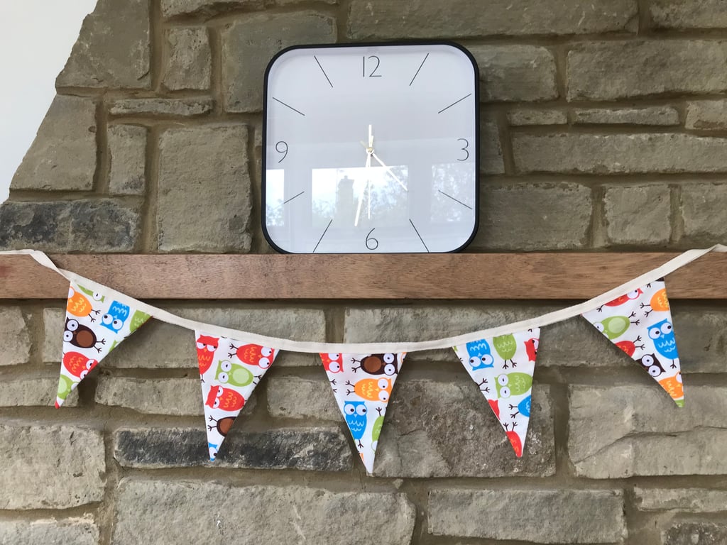 Multicoloured Owls Bunting