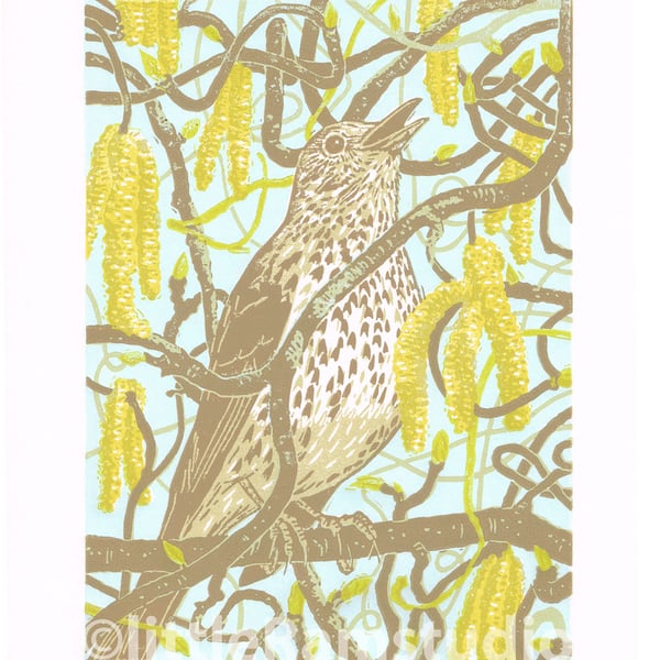 Catkin Song Thrush - Original hand cut limited edition linocut print