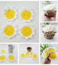 Daisy Gift Set, Coasters and Wind Spinner - Image 2