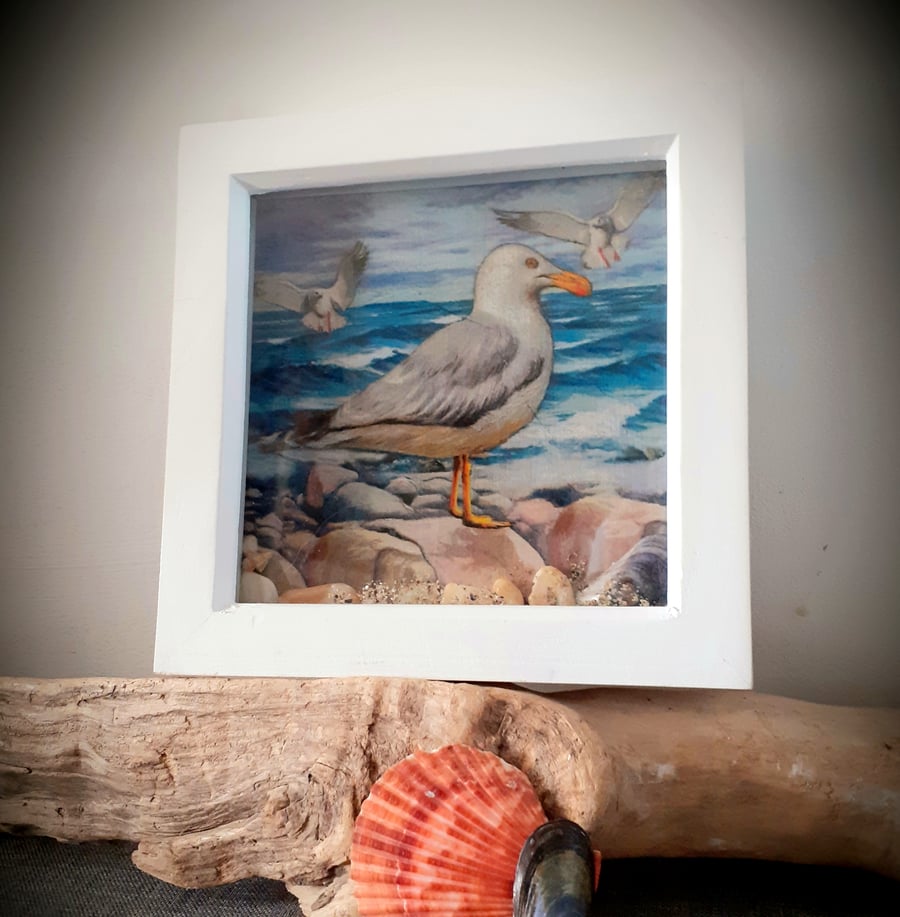 Framed Decoupaged Seagull embellished with Cornish Beach Finds 
