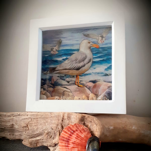 Framed Decoupaged Seagull embellished with Cornish Beach Finds 