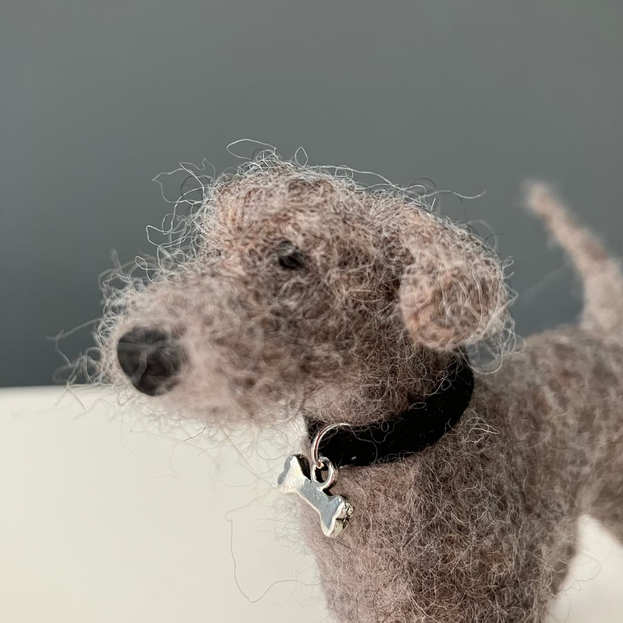Little Grey Bedlington Cross