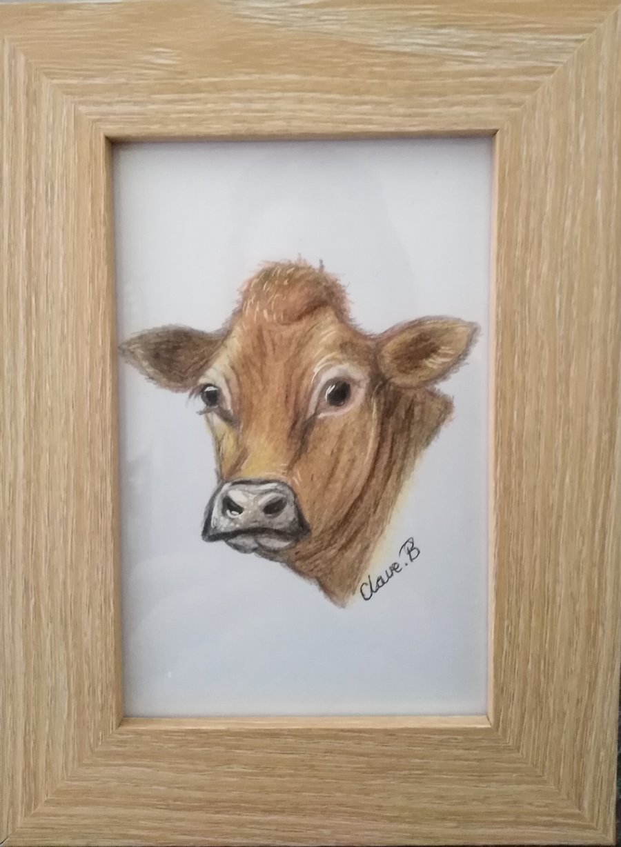 Hand drawn framed Jersey Cow wall art