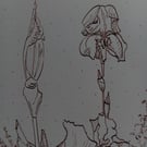 Original dip pen drawing, Iris Patch, A5