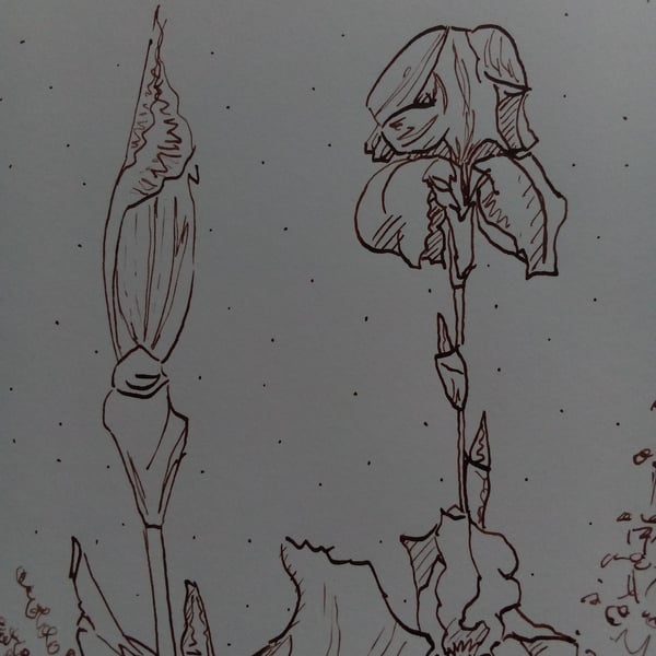Original dip pen drawing, Iris Patch, A5