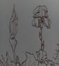 Original dip pen drawing, Iris Patch, A5