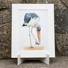 Marabou Stork Original Coloured Pencil Bird Drawing