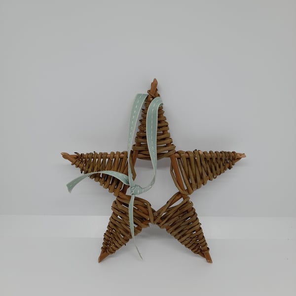 Willow Star (medium)