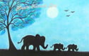 Animals cards 