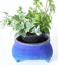 Ceramic Plant Holder - Image 1