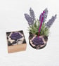 Purple Rose: Decorated Wooden Ring Trinket Box 7cm & Hanging Heart - Image 6