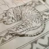 Antonia's Art