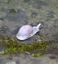 Quartz Silver pendant - Image 4