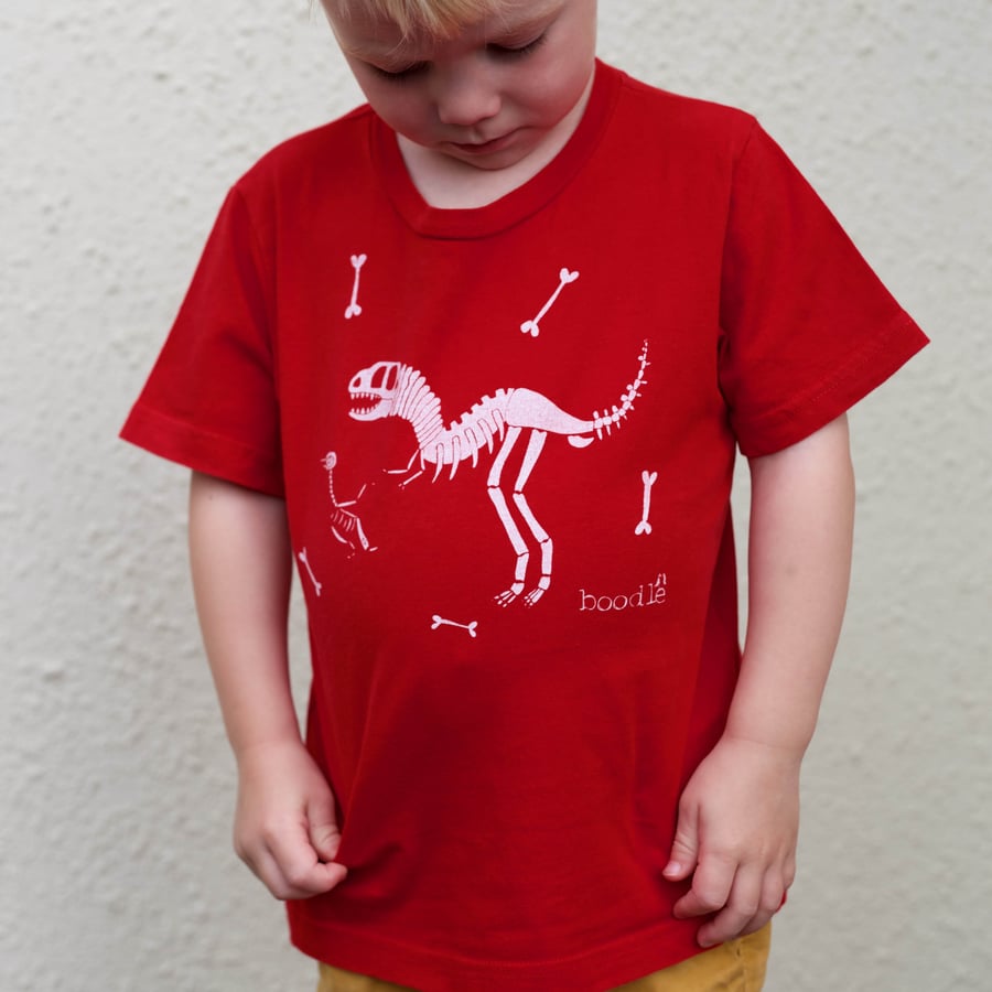 Dinosaur organic cotton Unisex kids tee. Perfect for any dinosaur loving kid!