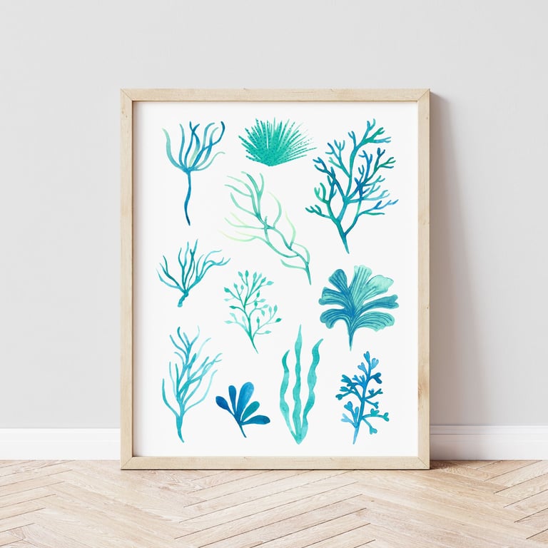 Seaweed Coastal Illustrated Art Print